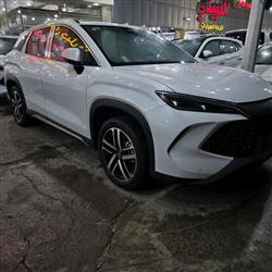 بي واي دي سونغ L DM-i